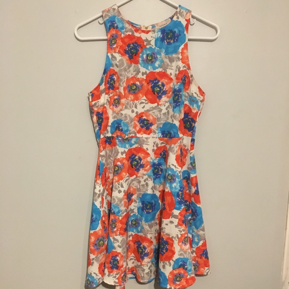 Everly Floral Skater Sundress